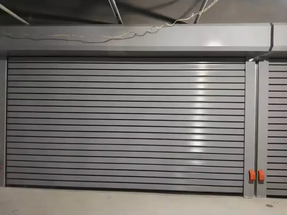 Electric Garage Door