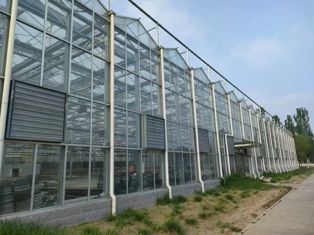 China Green House Factory