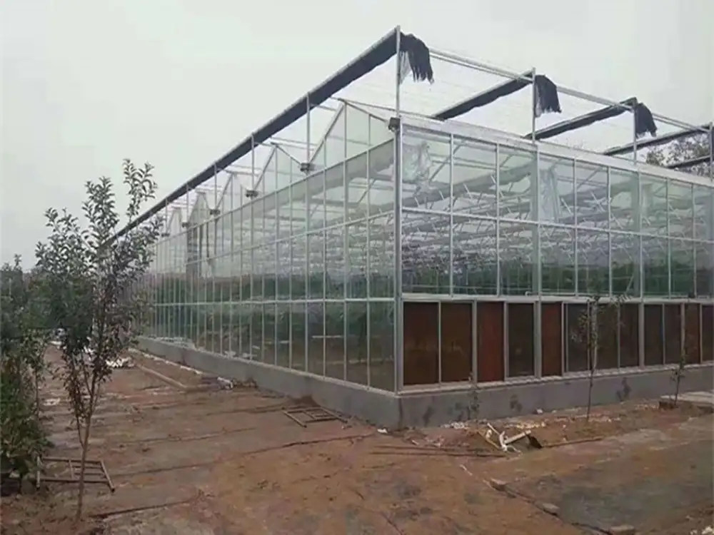 Green House Supplier
