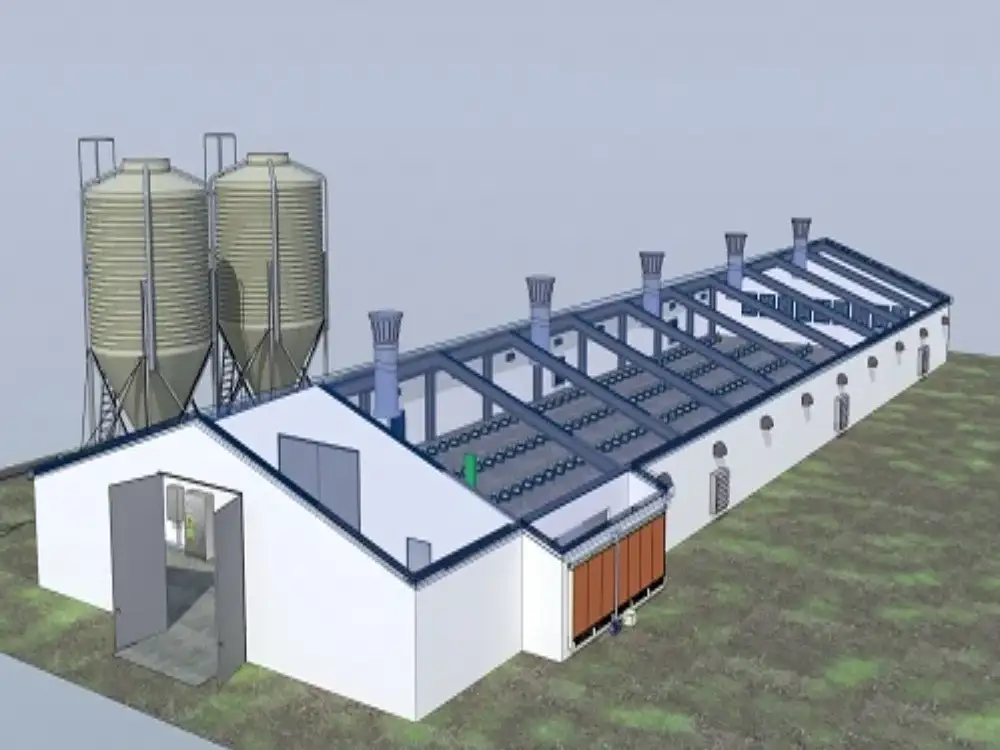 Steel Structure Poultry House